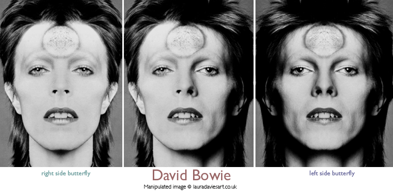 bowiebutterfly.jpg