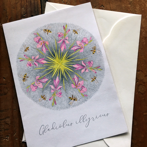 gladiolus greeting card.jpg