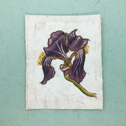 iris_rooibos_grey.jpg