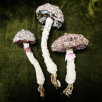 Mushroom Soft Sculptures